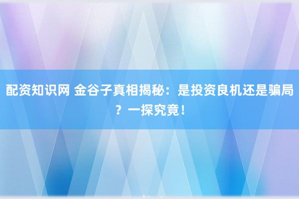 配资知识网 金谷子真相揭秘：是投资良机还是骗局？一探究竟！