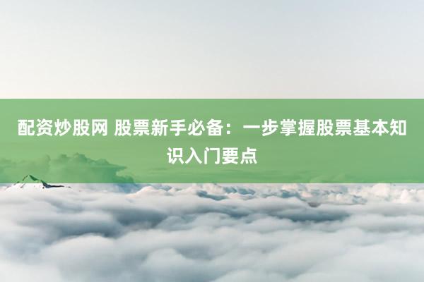 配资炒股网 股票新手必备：一步掌握股票基本知识入门要点