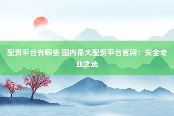 配资平台有哪些 国内最大配资平台官网：安全专业之选
