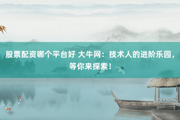 股票配资哪个平台好 大牛网：技术人的进阶乐园，等你来探索！