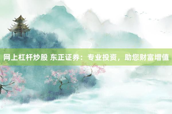 网上杠杆炒股 东正证券：专业投资，助您财富增值