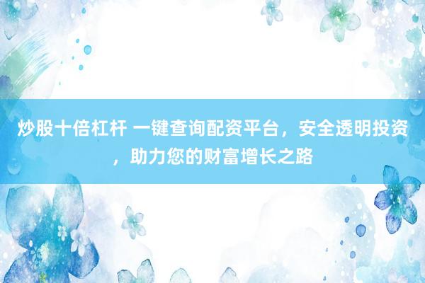 炒股十倍杠杆 一键查询配资平台，安全透明投资，助力您的财富增长之路
