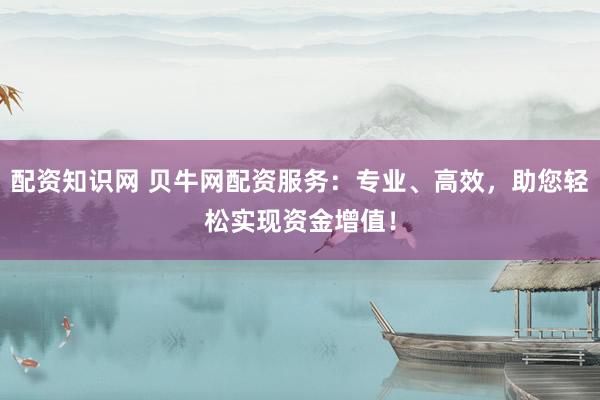 配资知识网 贝牛网配资服务：专业、高效，助您轻松实现资金增值！