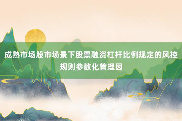 成熟市场股市场景下股票融资杠杆比例规定的风控规则参数化管理因