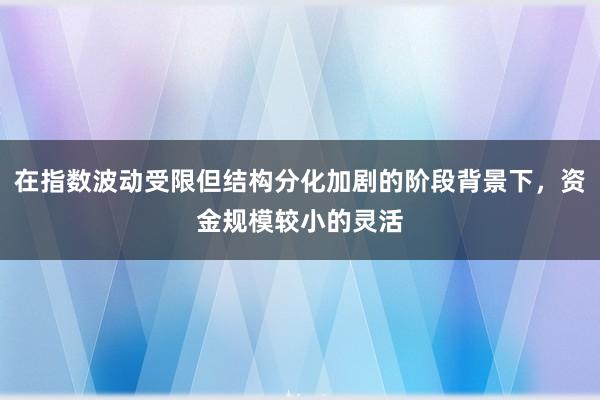 在指数波动受限但结构分化加剧的阶段背景下，资金规模较小的灵活