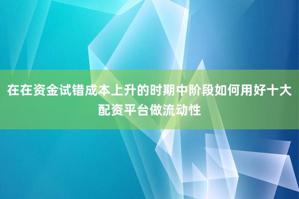 在在资金试错成本上升的时期中阶段如何用好十大配资平台做流动性